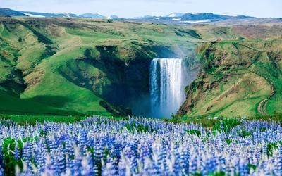 ICELAND SOUTH COAST: TOP LOCAL THINGS TO SEE & DO!